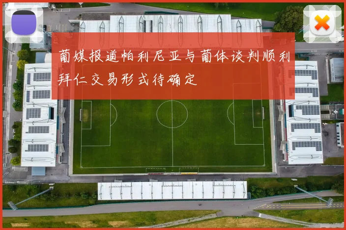 葡媒报道帕利尼亚与葡体谈判顺利拜仁交易形式待确定